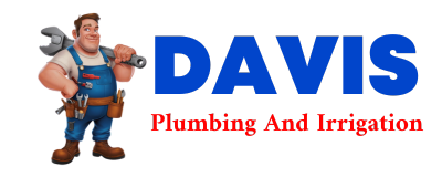 Trusted plumber in FREEMAN